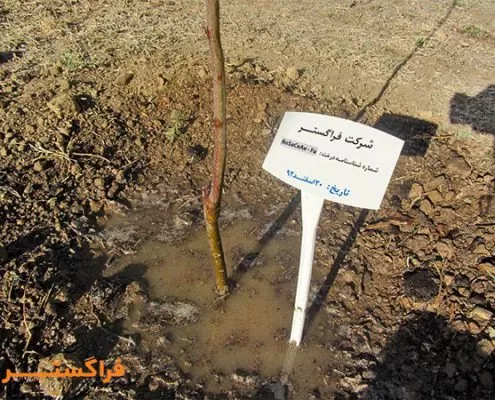 فراگستر و مسئولیتهای اجتماعی