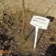 فراگستر و مسئولیتهای اجتماعی