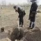 فراگستر و مسئولیتهای اجتماعی