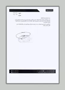 نیک ریس زنجان