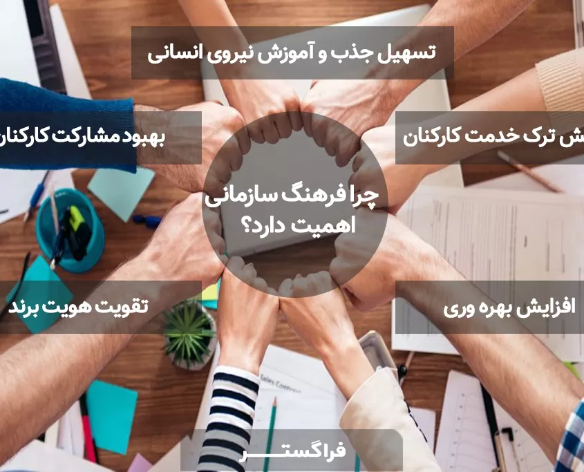 دلایل اهمیت فرهنگ سازمانی چیست؟